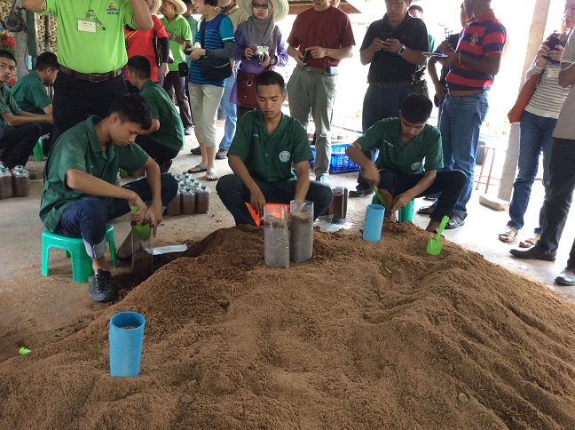 Students of the International School making substrates for growing mushroom mycelia 