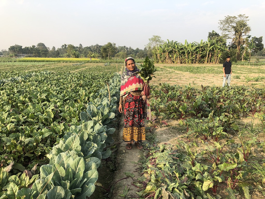 EM treated farm (left) and conventional farm (right)