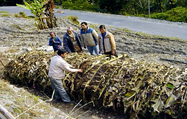 Making compost