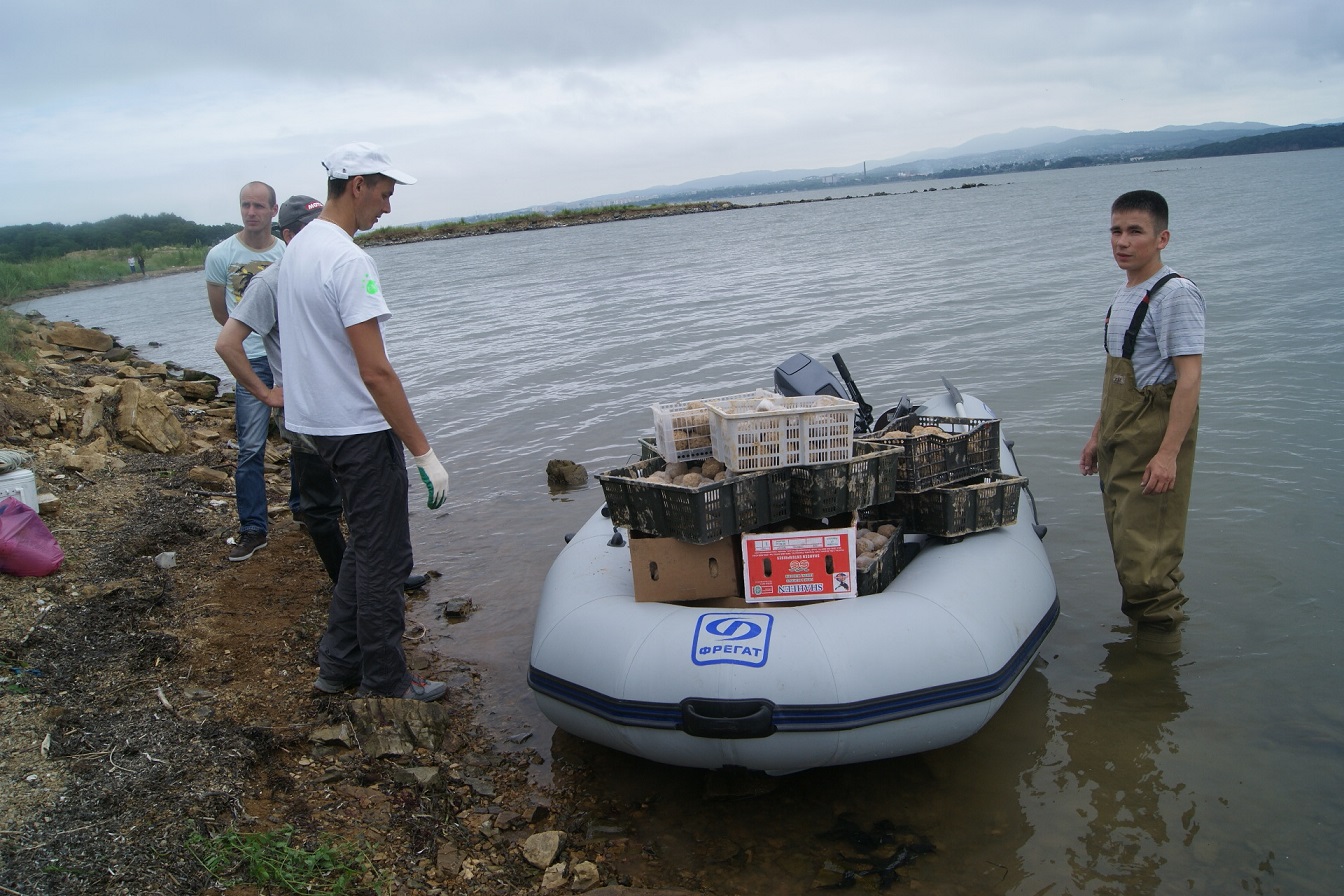 Transferring EM Mudballs by ship