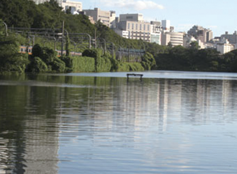 The Edo Castle outer moat and Ushigome moat, where the surface of the water is beautiful. 20.000 to 30.000 EM Bokashi fermented Mudballs have been applied every year.