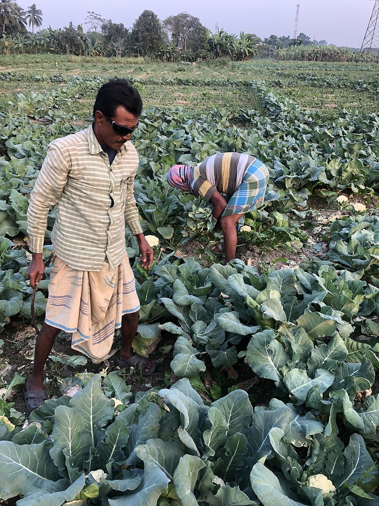 Farmers working safely