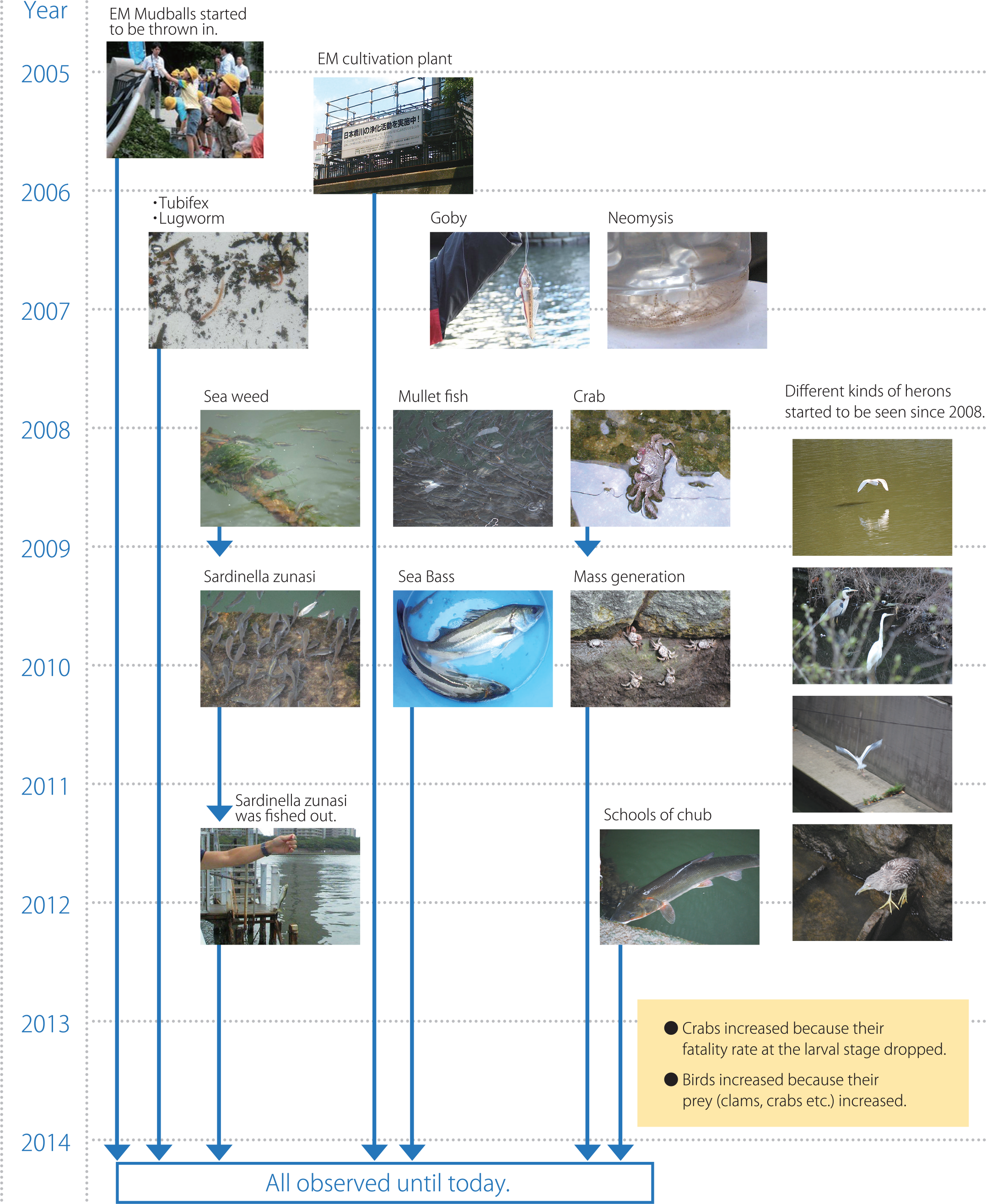 Biodiversity recovery graph from 2005 to 2014