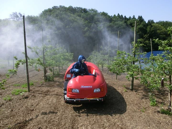 Spraying the mixed solution of EM Shabondama soap solution and EM solution with garlic that has an effect against insect pests.