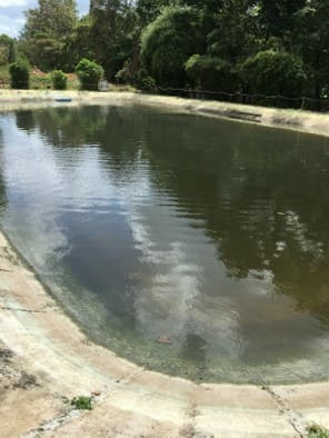 Pond