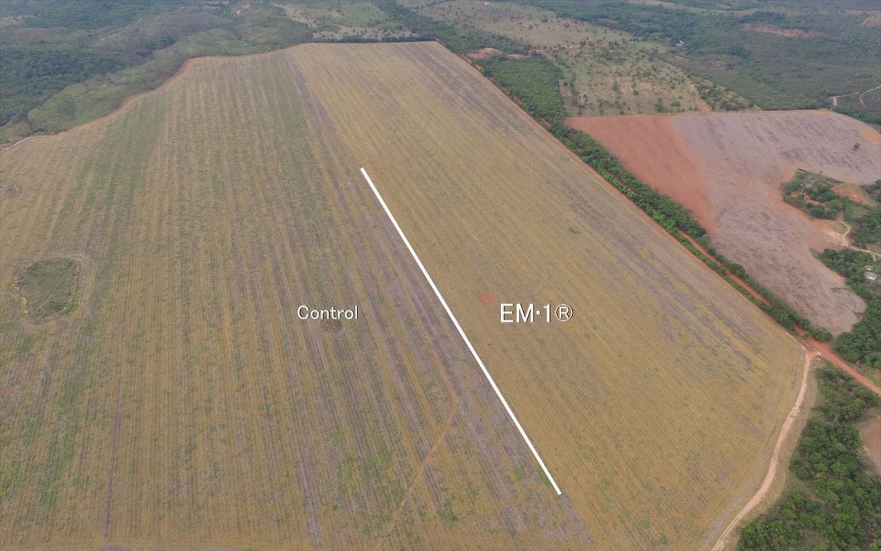 Desiccation of herbicide-resistant weeds. (40% less herbicide) 