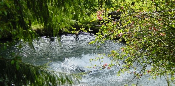 Cultivation pond