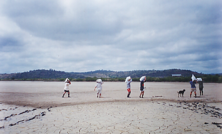 Preparing the soil    