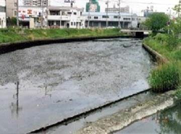 Asechi River, before EM was applied           