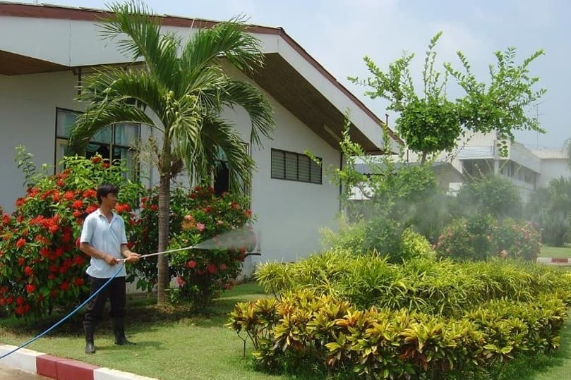 Treated water is reused for watering plants