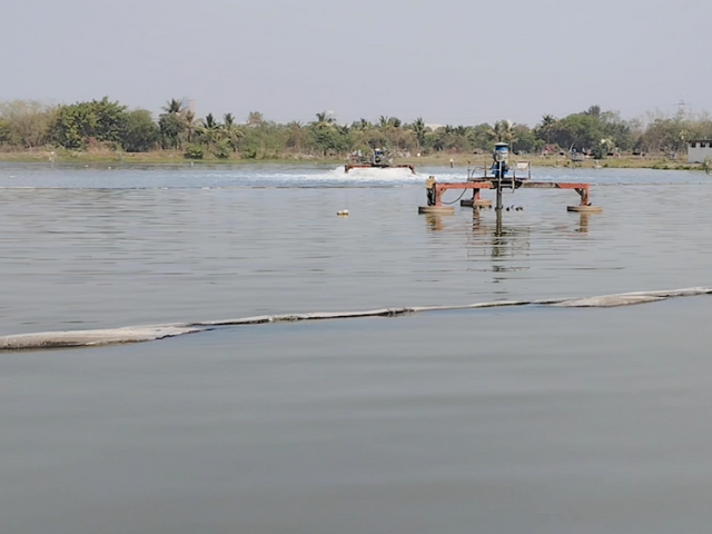 Swimming Pool Cleanup as Eco-Education