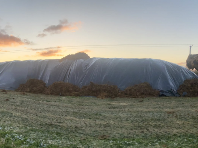 Sustainable Cycling Feedlot Operation