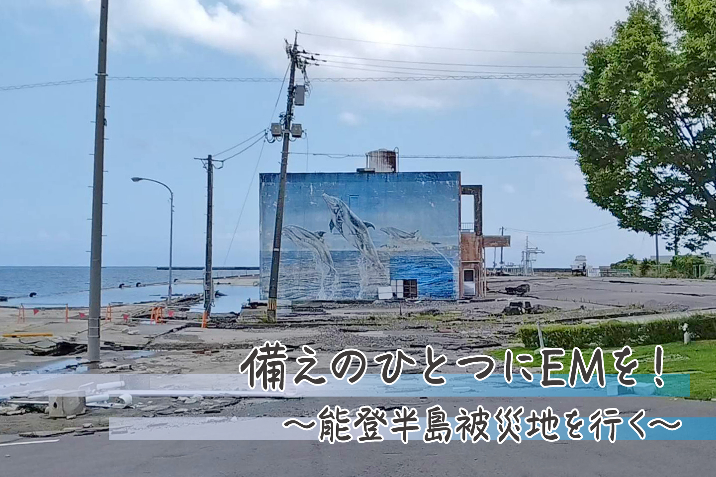 EM Measures for Earthquake Disaster Recovery in Western Japan