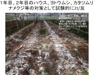 Photo 1.
Spread 2 tons of salt per 1,000 ㎡  