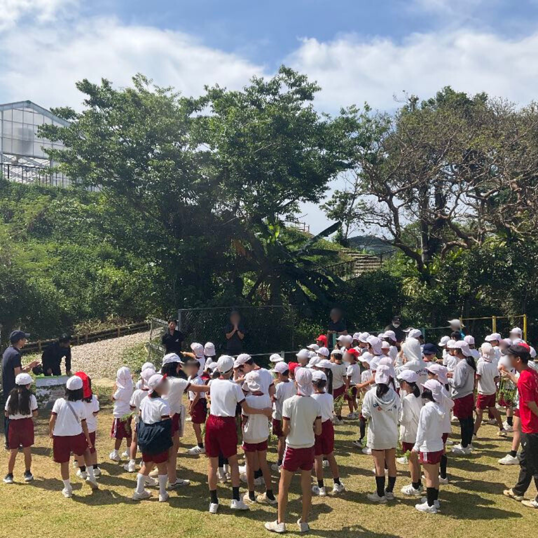 A school children's farm of the “EM Universal Village Project in Kitanakagusuku”