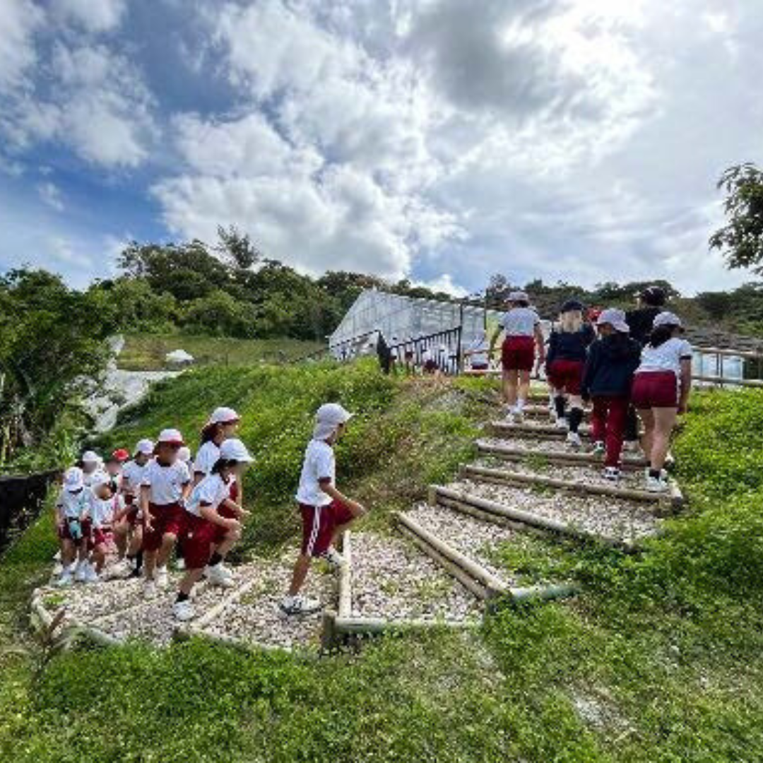 A school children's farm of the“EM Universal Village Project in Kitanakagusuku”